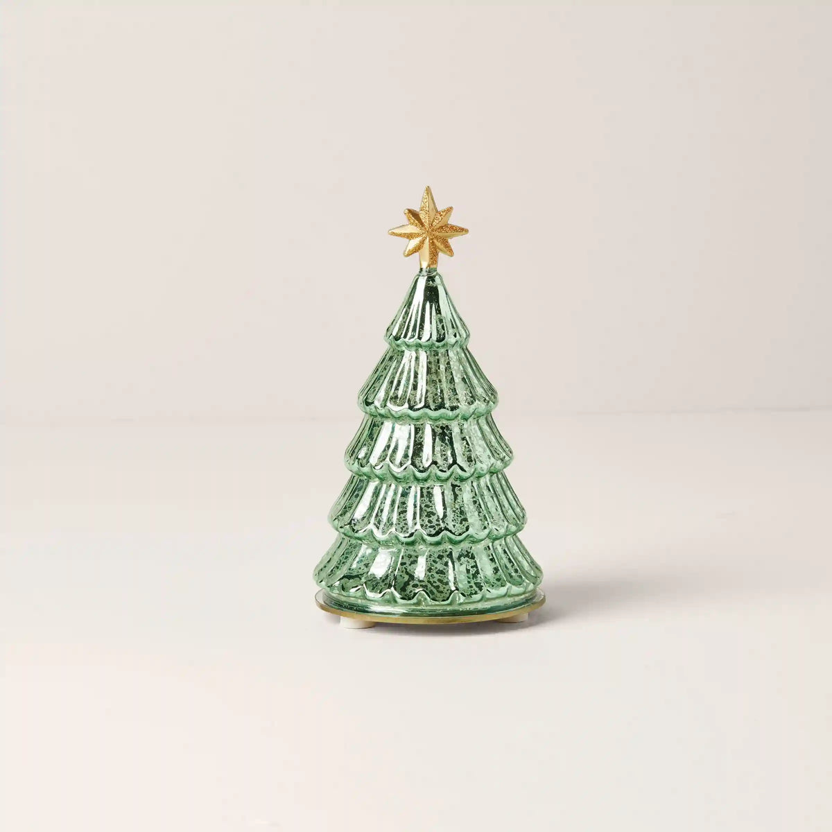 Radiant Light Lit Pine Tree